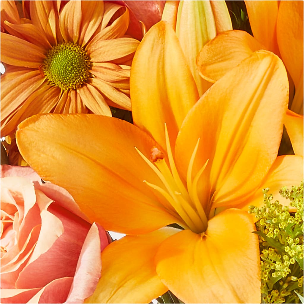 Harvest Hayride Bouquet – F & S FLOWERS DESIGN LLC, Margate FL