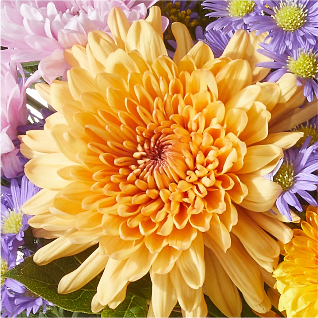 Countryside Bouquet – F & S FLOWERS DESIGN LLC, Margate FL