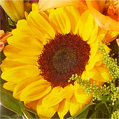 Seasons Change Bouquet – F & S FLOWERS DESIGN LLC, Margate FL