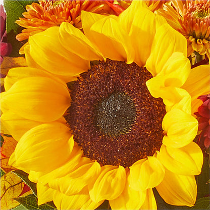 Sunny Side Bouquet – F & S FLOWERS DESIGN LLC, Margate FL