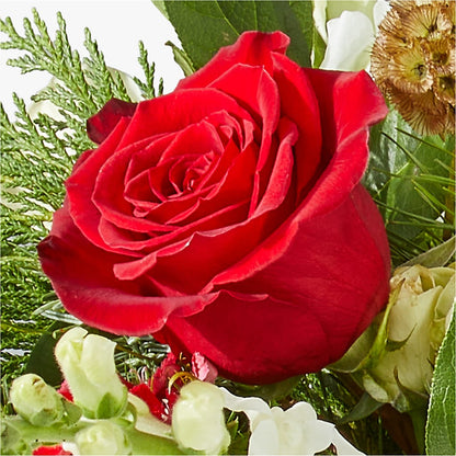 Deck the Halls Bouquet – F & S FLOWERS DESIGN LLC, Margate FL