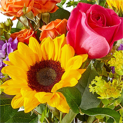 Vibrant Greetings Bouquet – F & S FLOWERS DESIGN LLC, Margate FL