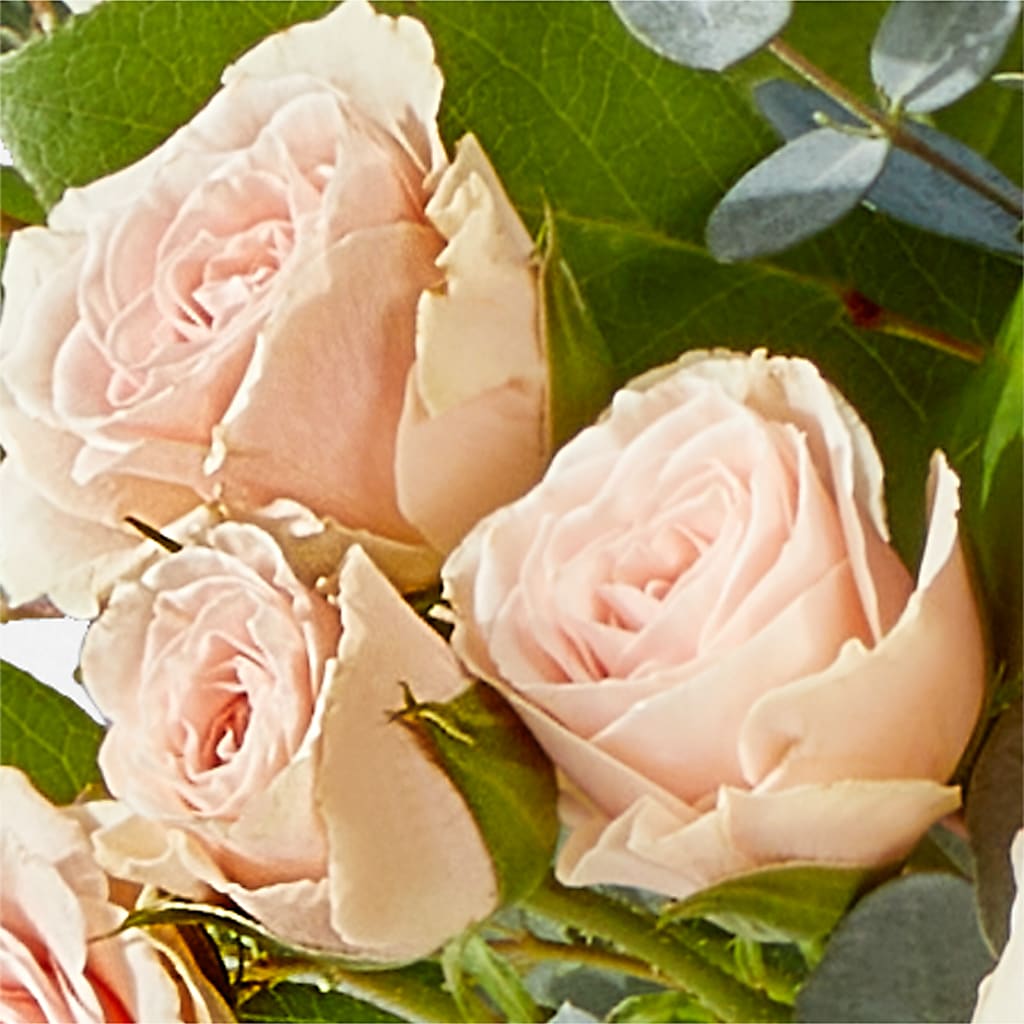 Inspired Bouquet – F & S FLOWERS DESIGN LLC, Margate FL