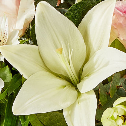 Ballet Slippers Bouquet – F & S FLOWERS DESIGN LLC, Margate FL