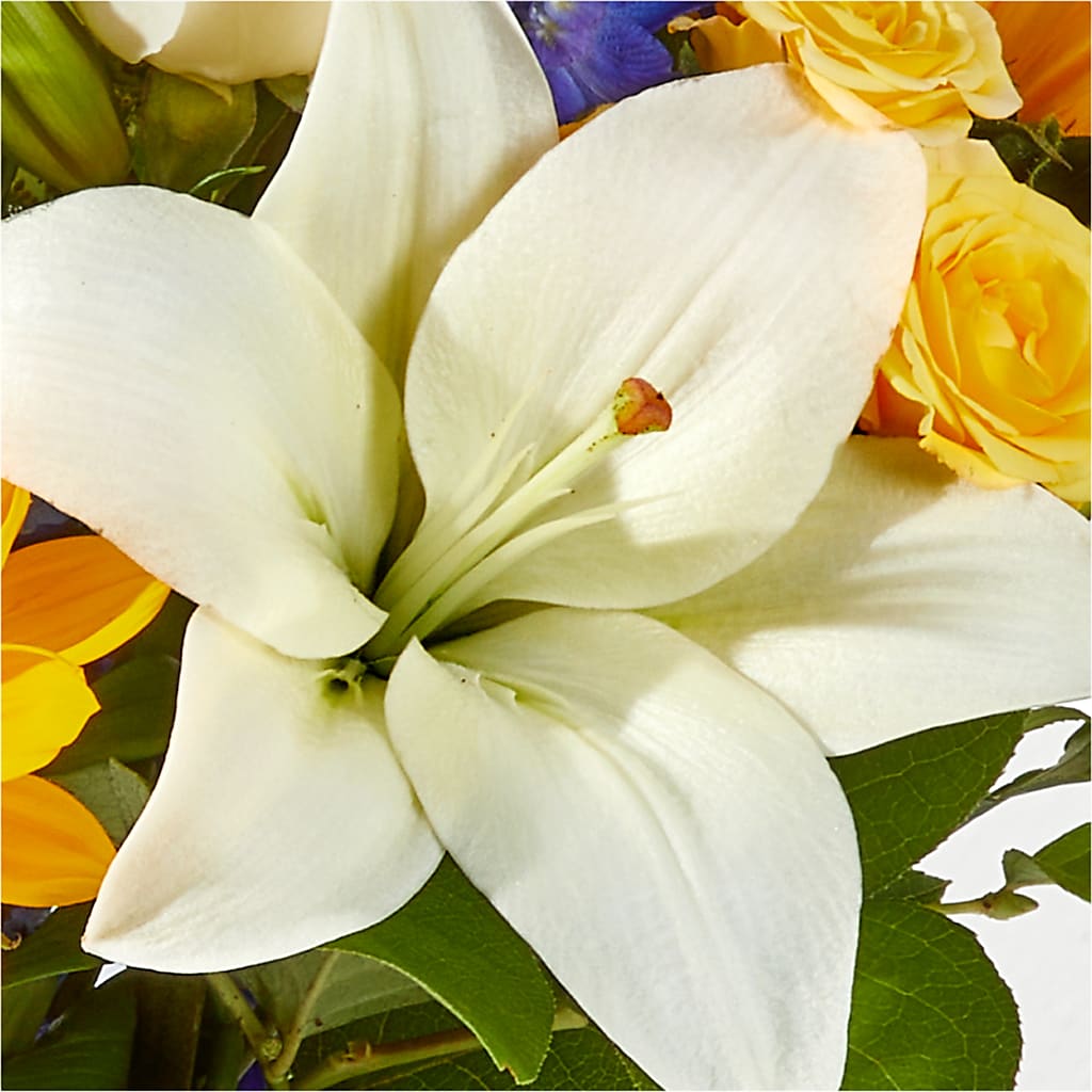 Wonderfully Sunny Bouquet – F & S FLOWERS DESIGN LLC, Margate FL