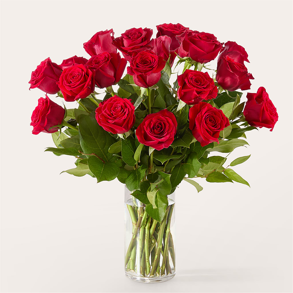 The One Red Rose Bouquet – F & S FLOWERS DESIGN LLC, Margate FL