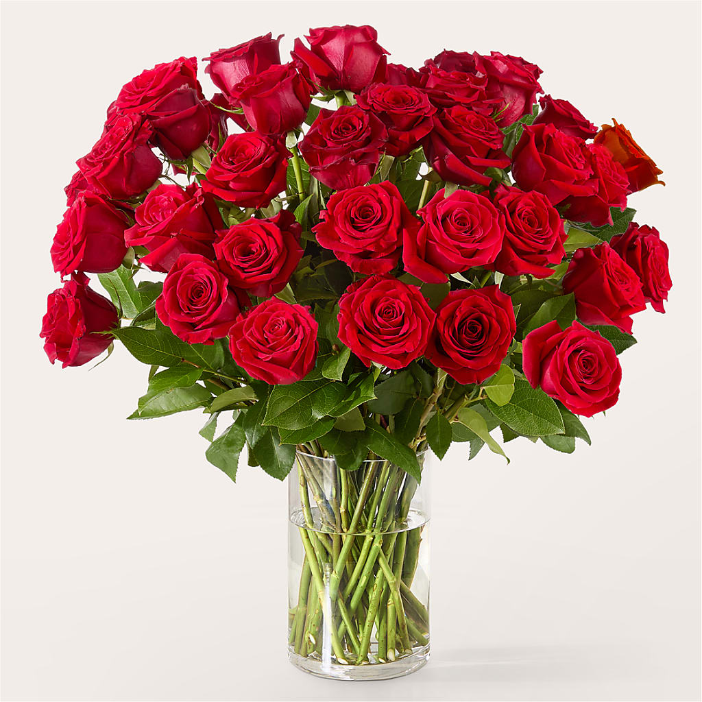 The One Red Rose Bouquet – F & S FLOWERS DESIGN LLC, Margate FL