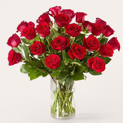 The One Red Rose Bouquet – F & S FLOWERS DESIGN LLC, Margate FL