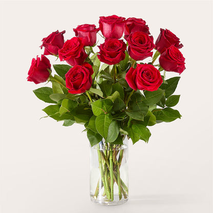 The One Red Rose Bouquet – F & S FLOWERS DESIGN LLC, Margate FL
