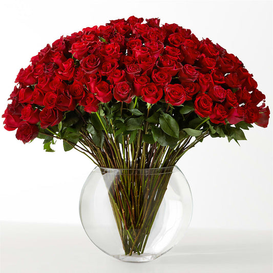 The Idealist – F & S FLOWERS DESIGN LLC, Margate FL