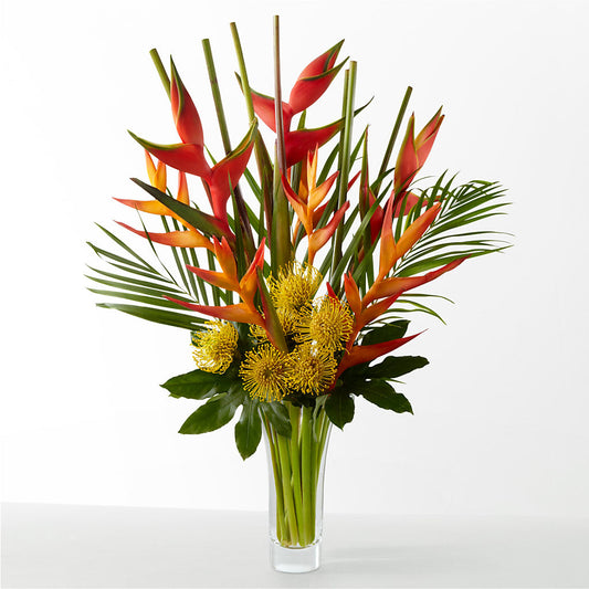 The Drama – F & S FLOWERS DESIGN LLC, Margate FL