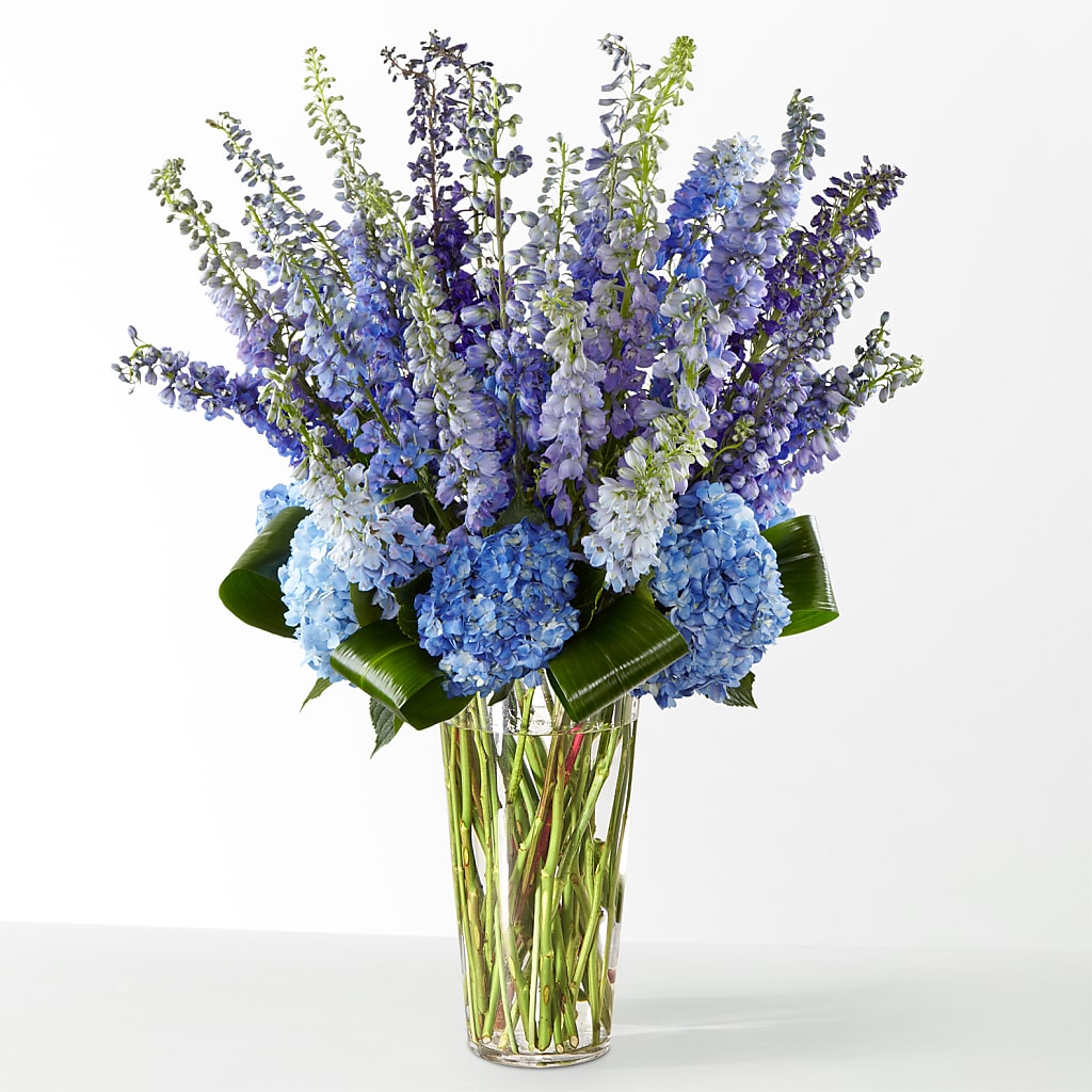 The Editorial – F & S FLOWERS DESIGN LLC, Margate FL