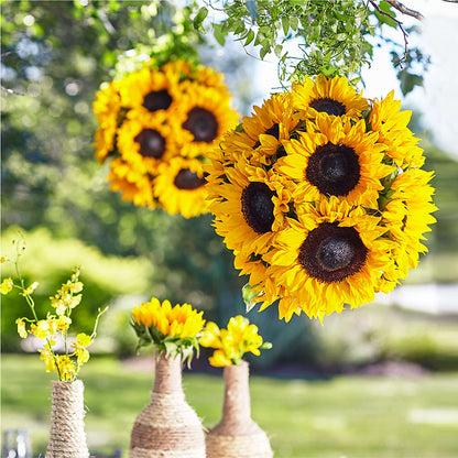 Sublime Garden Hanging Arrangement – F & S FLOWERS DESIGN LLC, Margate FL